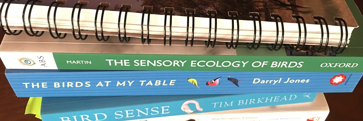 Kim V Goldsmith artist Eye of the Corvus project research