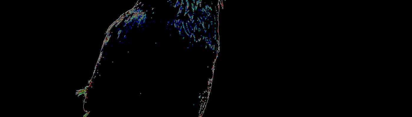 Kim V Goldsmith artist Eye of the Corvus art project