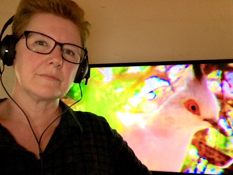 Kim V. Goldsmith artist