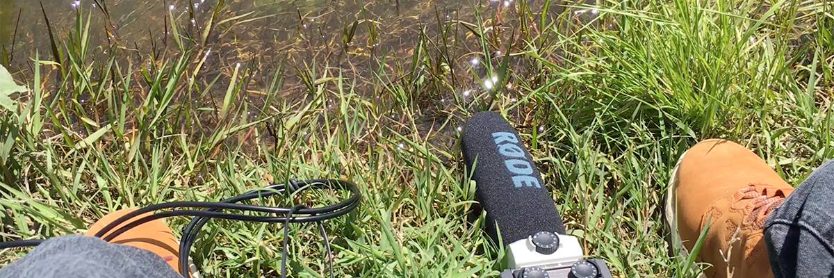 Kim V. Goldsmith digital media artist