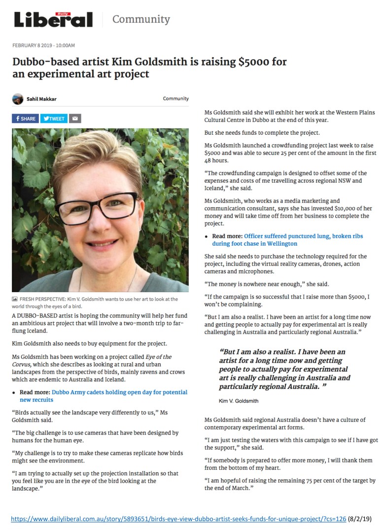 Kim V Goldsmith Dubbo artist Daily Liberal 2019
