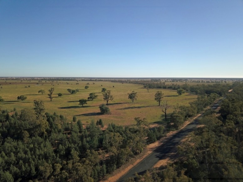 Pilliga Forest Coonamble