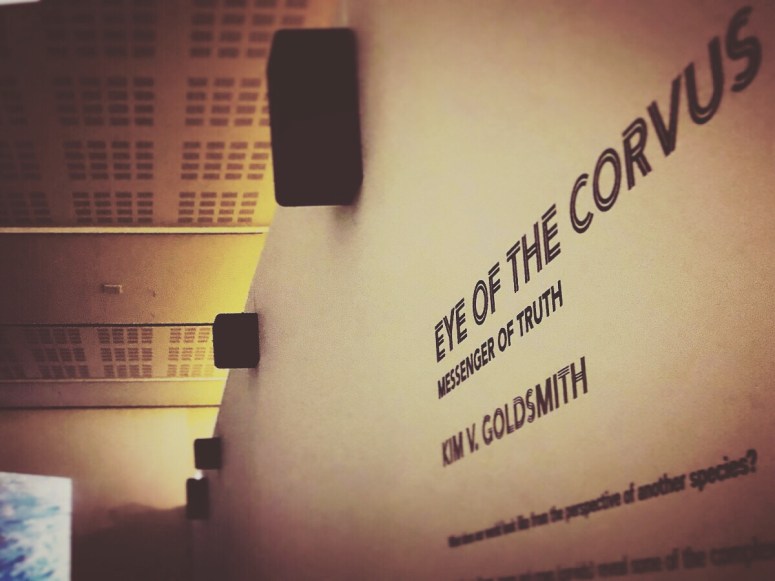 Eye of the Corvus art exhibition Kim V. Goldsmith